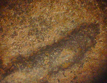 Figure 6. Biogenic black to brown patina formation within the letter "tav" caused by black yeast-like fungi on the JI tablet. Note the morphological continuity between the patina on the rock surface and the engraved rock. This iron oxide patina is the product of microcolonial fungi activity during a long period of time (the width of the groove of the letter is about 1 mm).