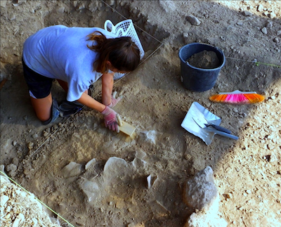 Figure 5 Excavating restorable Early Bronze Age vessels in Area Sc. Jezreel Expedition photo.