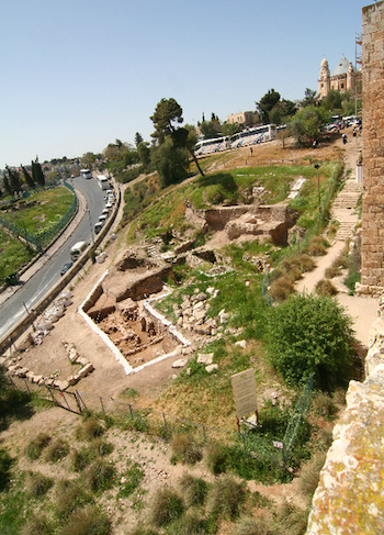 Overview of the Excavation Area at the end of 2008 Season