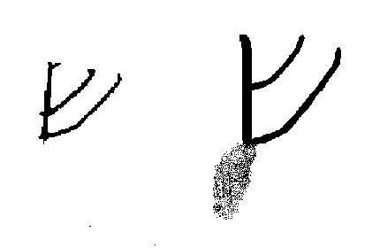Figure 3: Right: Rahmani 488 shin; Left: Ossuary shin